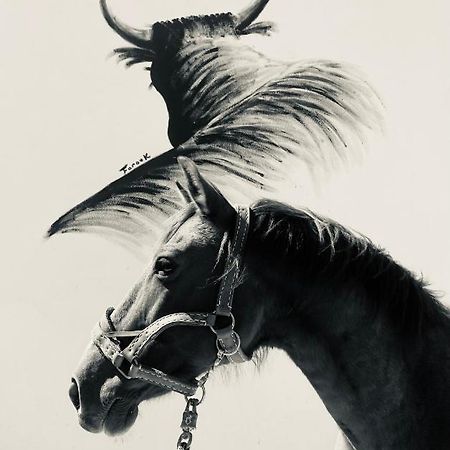 Gites Equestres Lou Caloun - Les Saintes Maries De La Mer Exterior photo