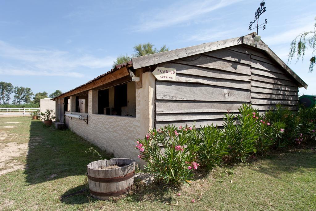 Gites Equestres Lou Caloun - Les Saintes Maries De La Mer Room photo