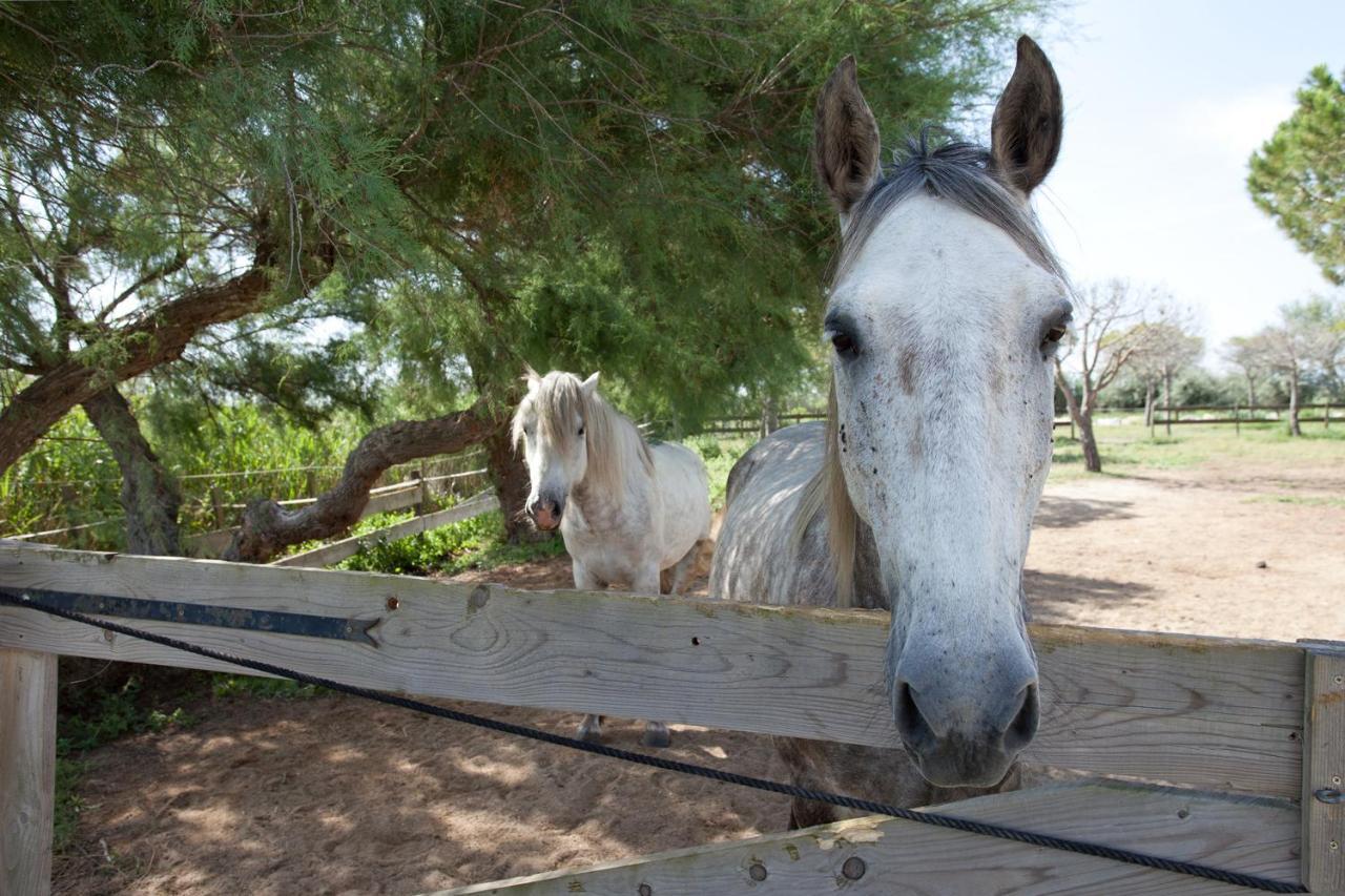 Gites Equestres Lou Caloun - Les Saintes Maries De La Mer Exterior photo